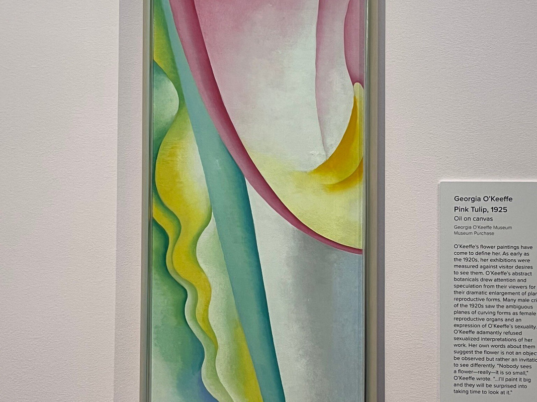 Georgia O'Keeffe Museum-圣菲必去景点