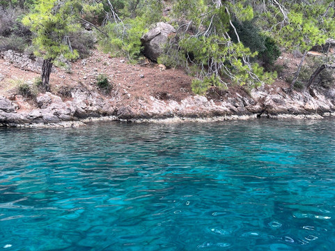 Pegasus Private Boat Trip-费特希耶必去景点