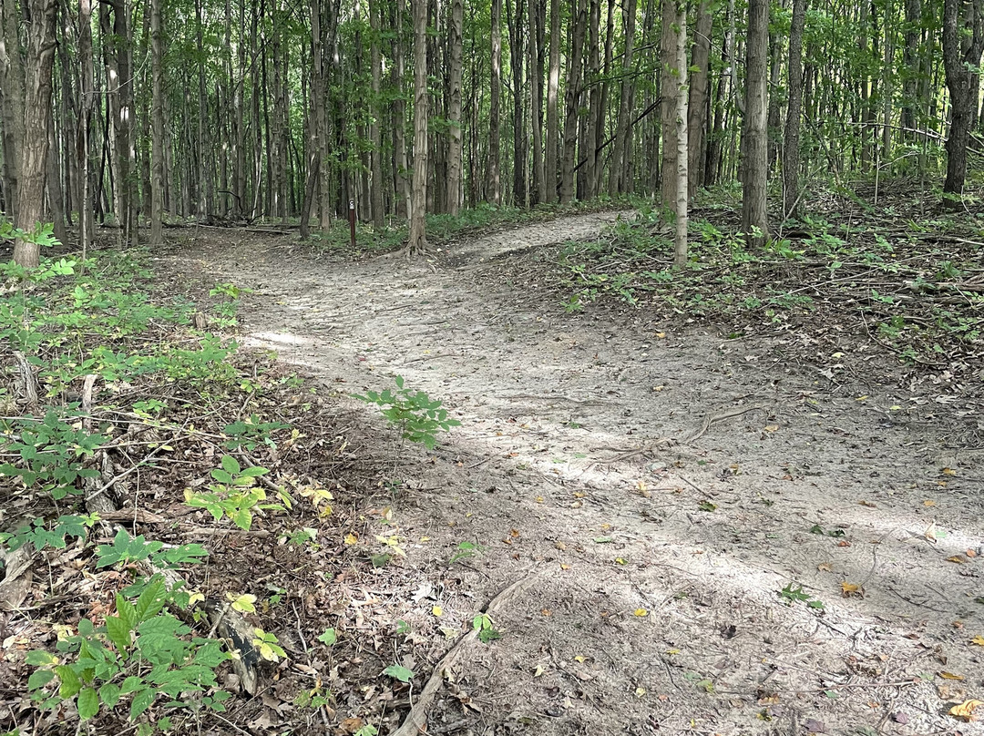 Castle In The Country Bed & Breakfast Inn主图