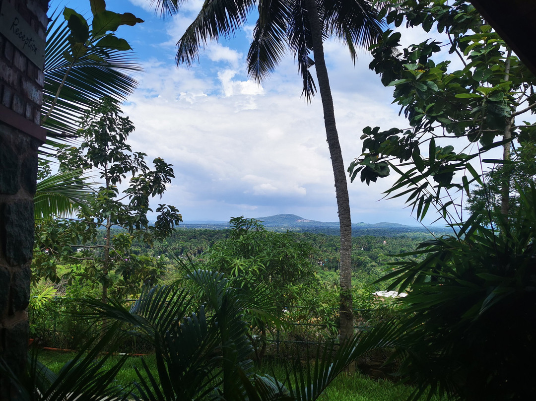 Amara Ayurveda Retreat主图