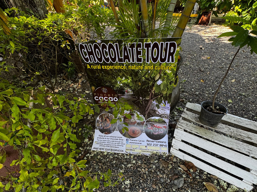 Planeta Cacao-Bahia de Banderas Municipality必去景点