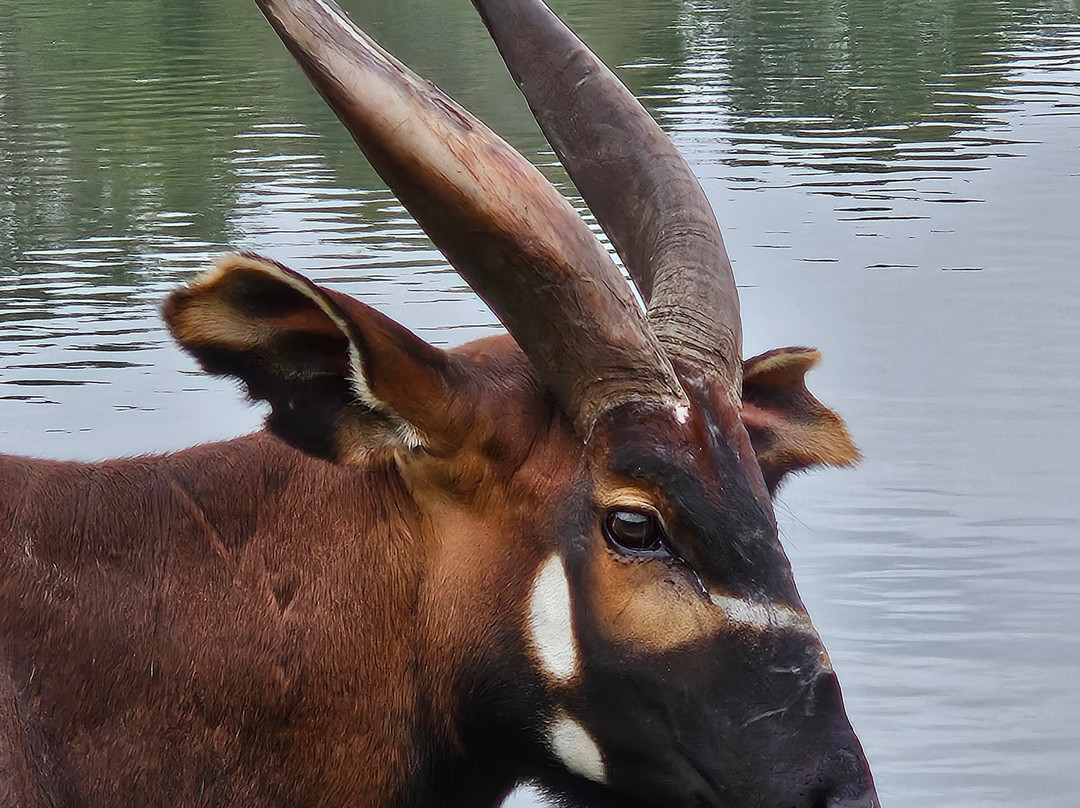 Watatunga Wildlife Reserve-金斯林必去景点