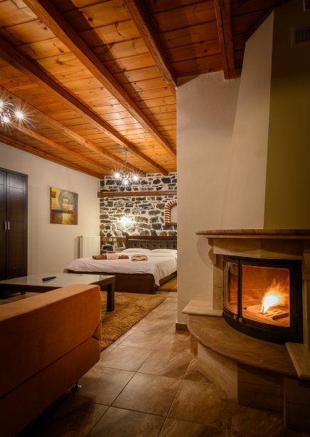 Hotel Enastron-客卧