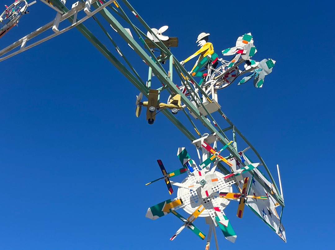 Vollis Simpson Whirligig Park-威尔逊必去景点