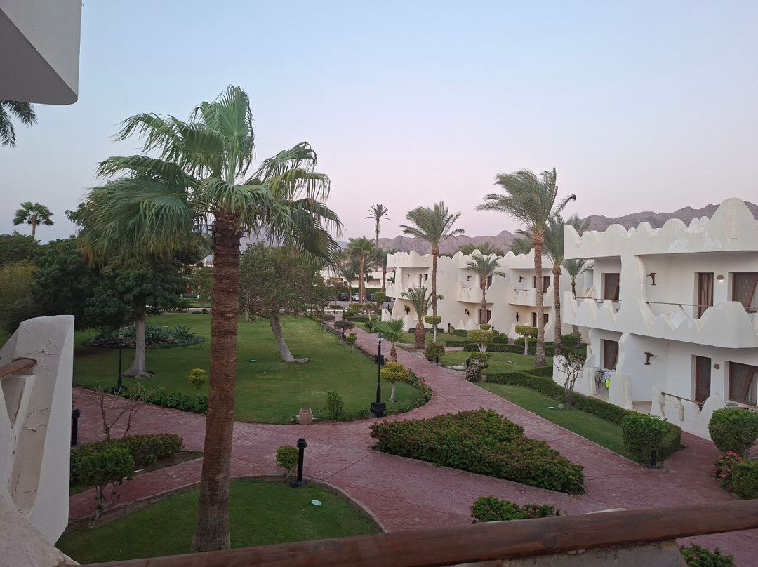 Swiss Inn Resort Dahab主图