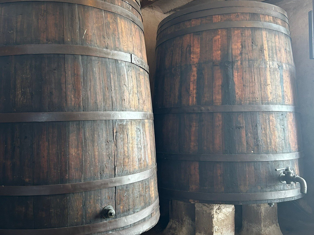 Vina Elena-Jumilla必去景点