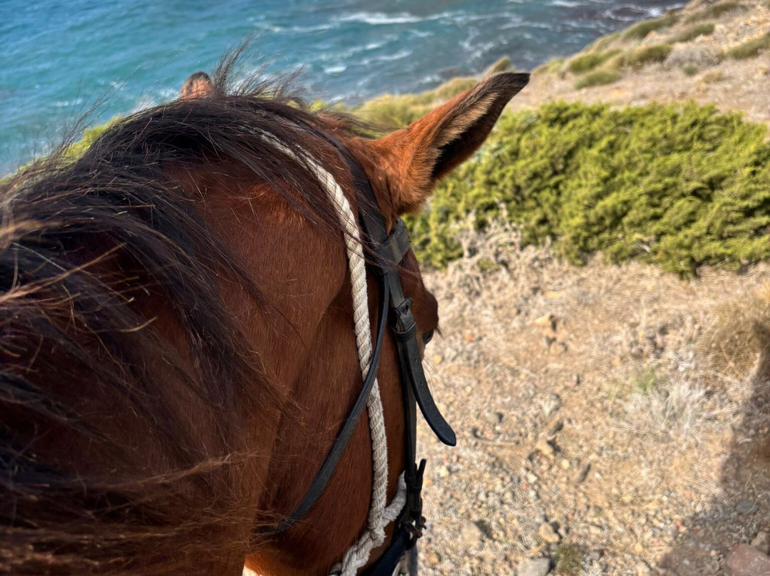 Maneggio Sulcis-San Giovanni Suergiu必去景点