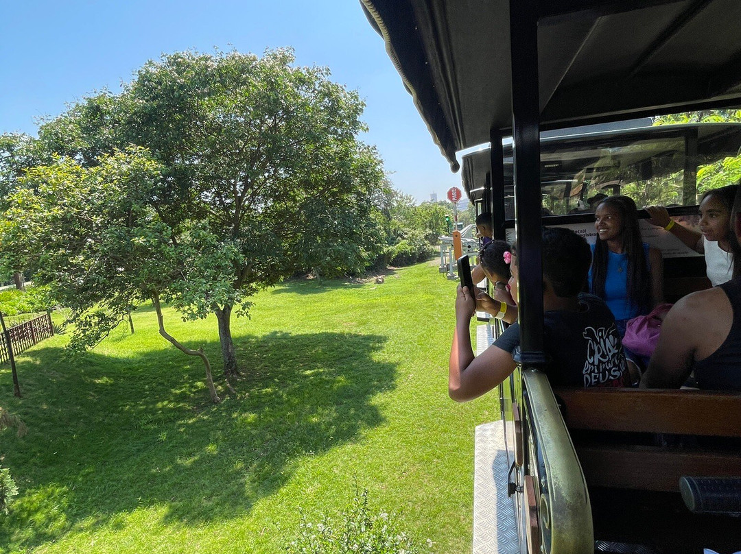 Trem Do Devoto-阿帕雷西达必去景点