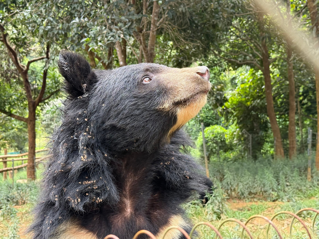 Luang Prabang Wildlife Sanctuary-琅勃拉邦必去景点