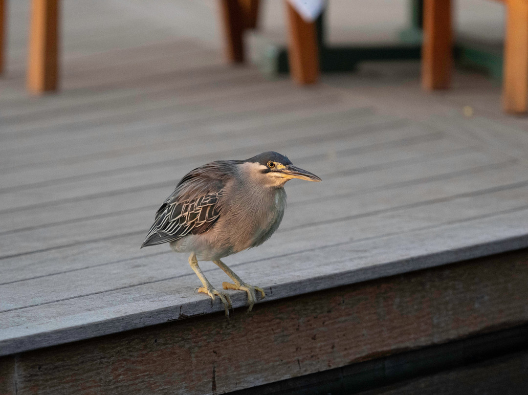 萨科亚精品酒店主图