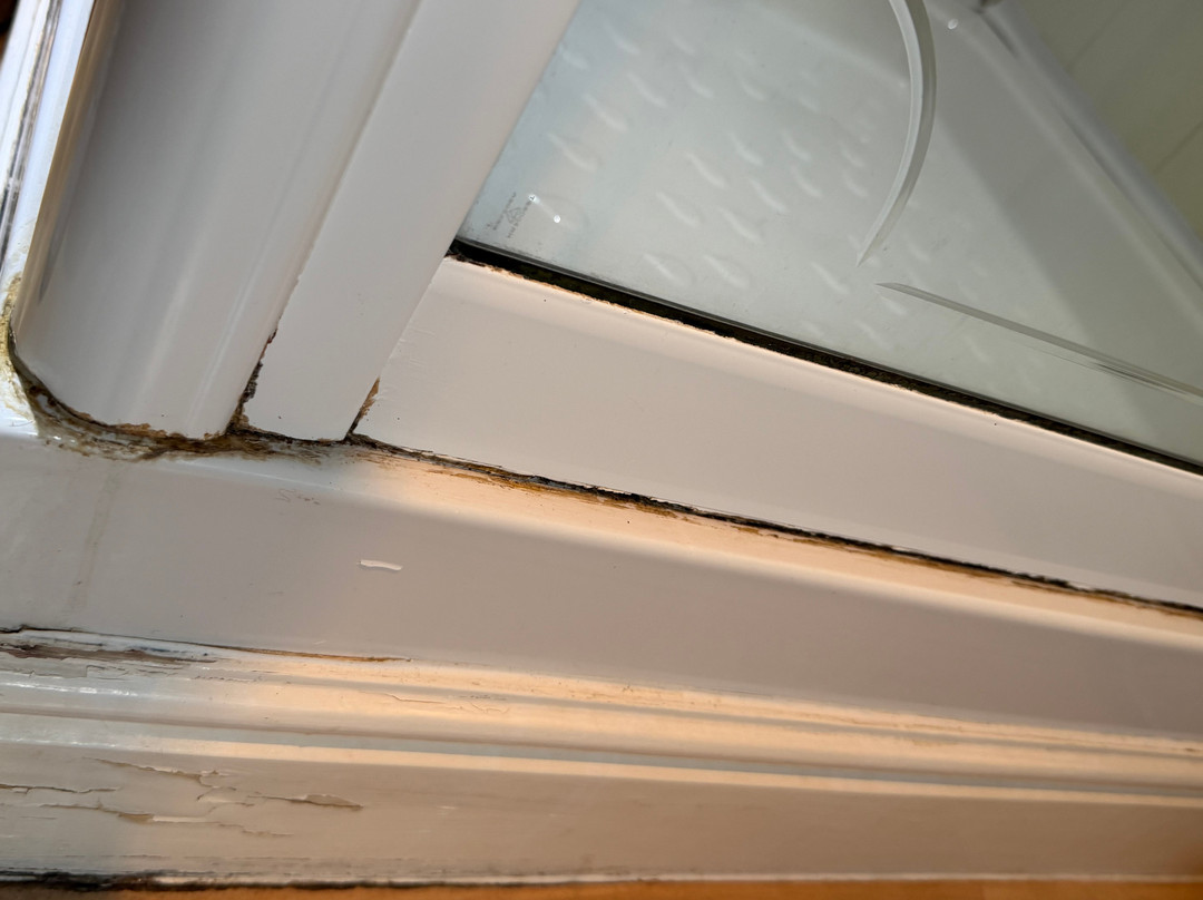 OYO Cocketts Hotel主图