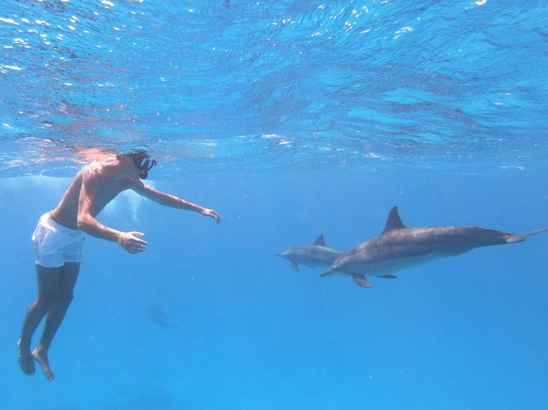 Sataya Dolphin Reef-马萨阿拉姆必去景点