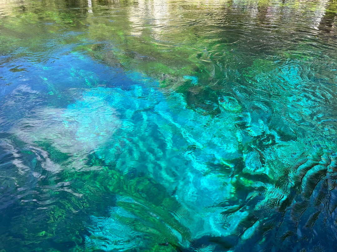 Akyaka River Romp-Akyaka必去景点