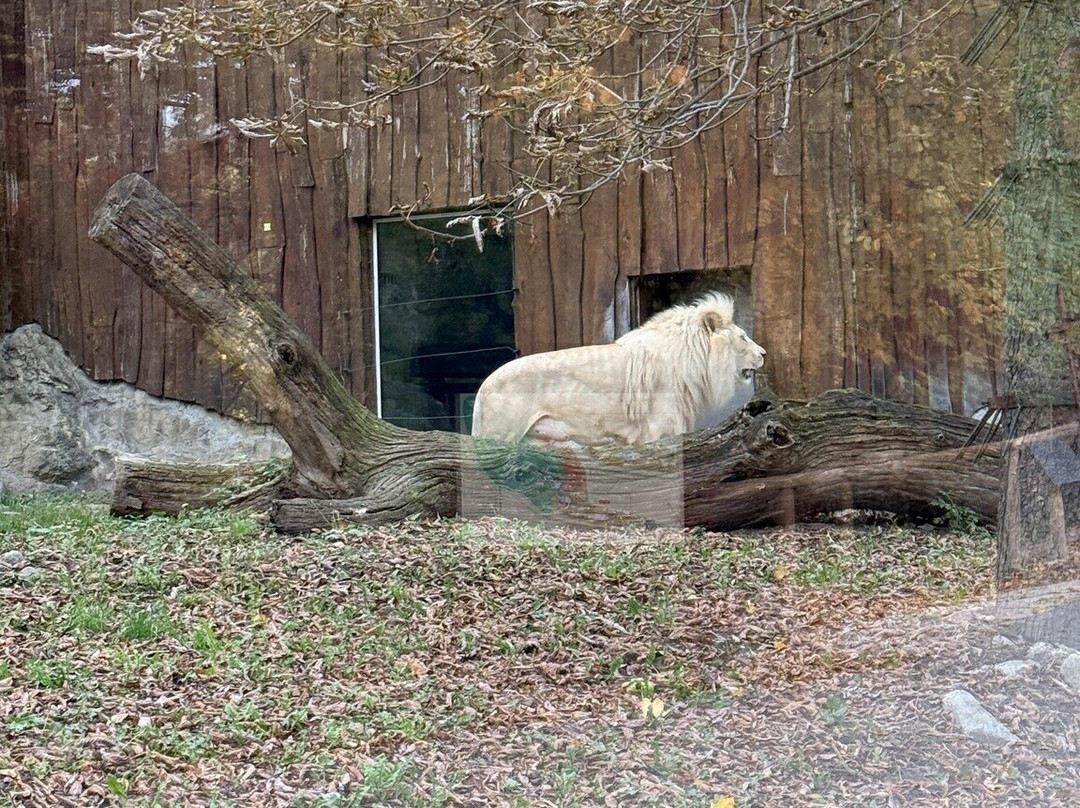 ZOO Bratislava-布拉迪斯拉发必去景点