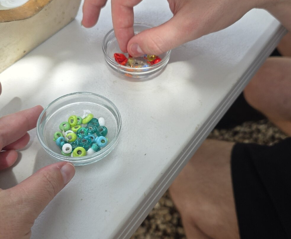 Terrafuse-Noord必去景点