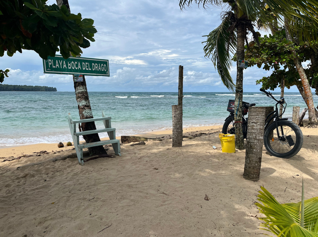 Flying Pirates-博卡斯镇必去景点