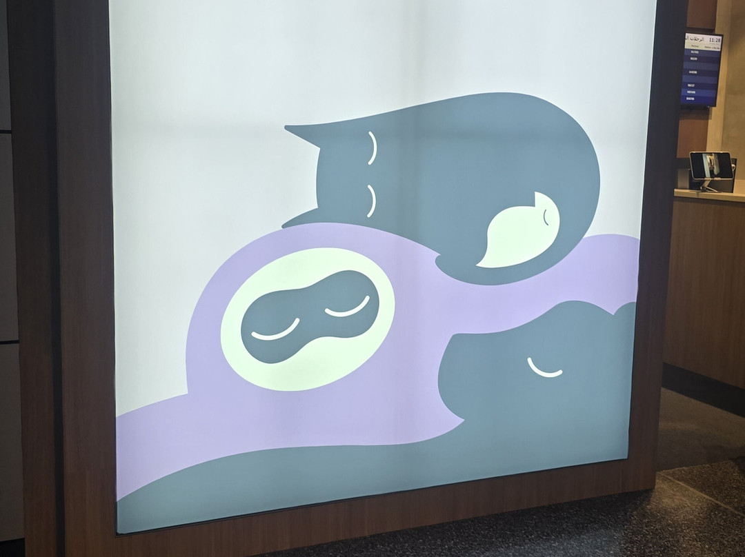 Sleepover South Node - Transit Only主图