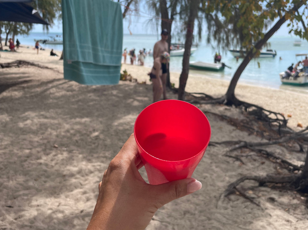 Adrien's Dream-弗力克昂弗雷克必去景点