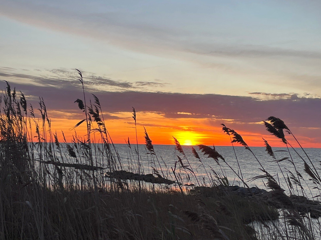 Pony Island Inn主图