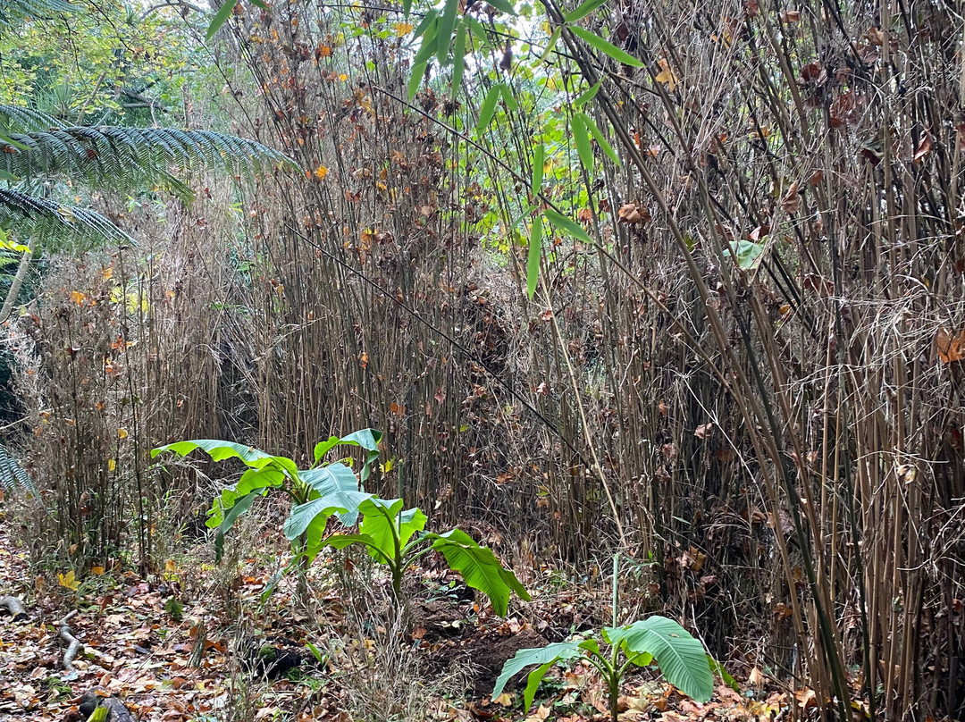 Sausmarez Manor-St Martin必去景点