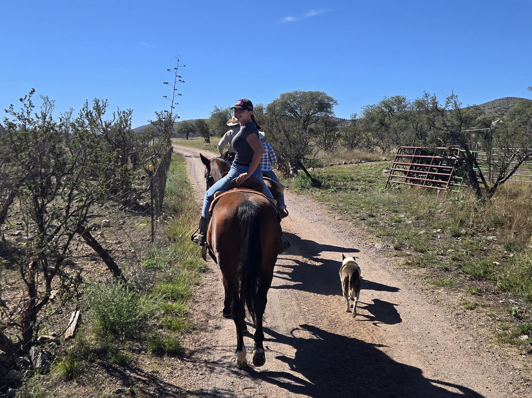 Double R Ranch-Elgin必去景点