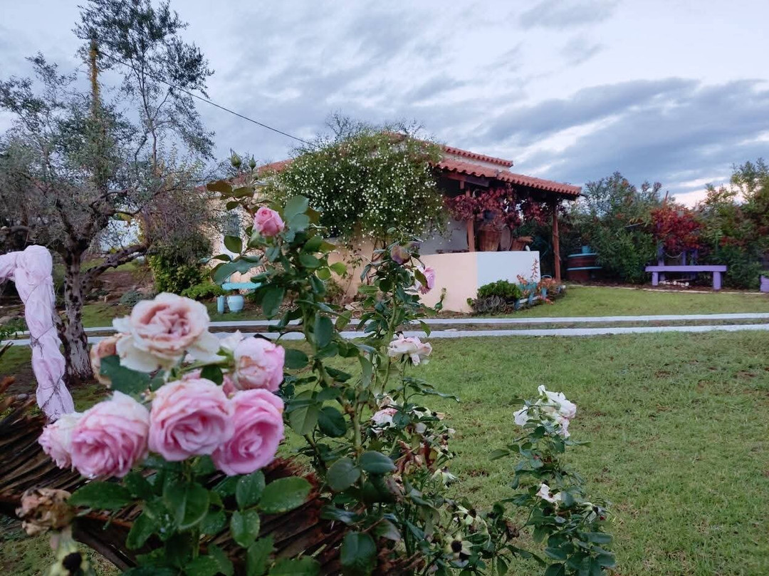 En Gaia Politeia-Kréstena必去景点