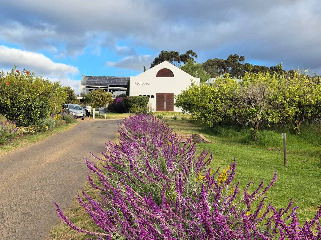 Glorious Cape Tours-开普敦中心区必去景点