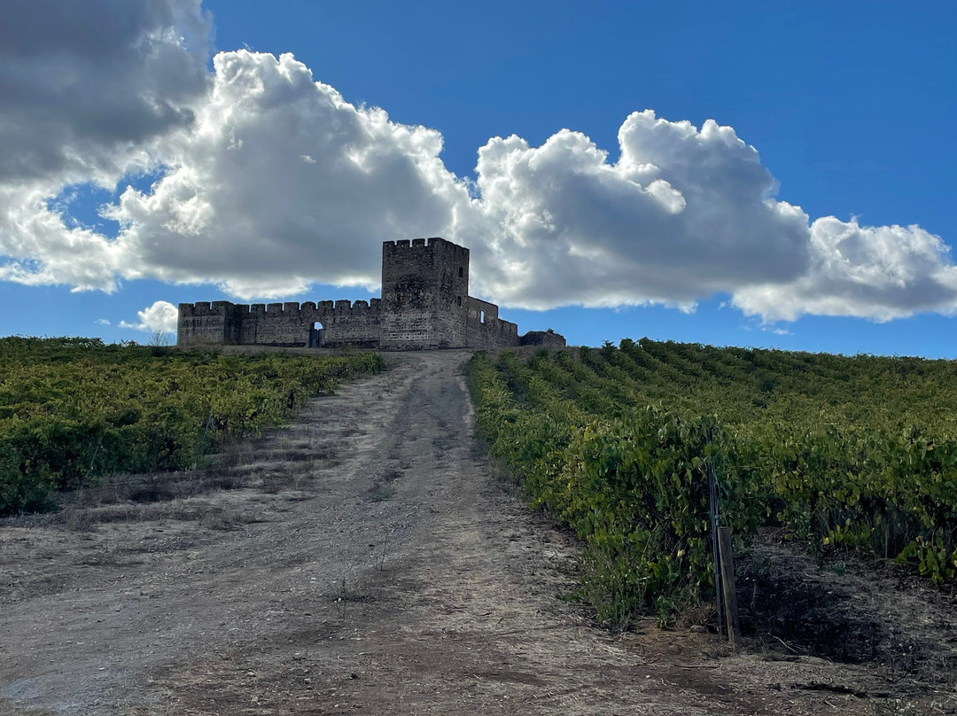 Portugal Best Cycling-埃武拉必去景点