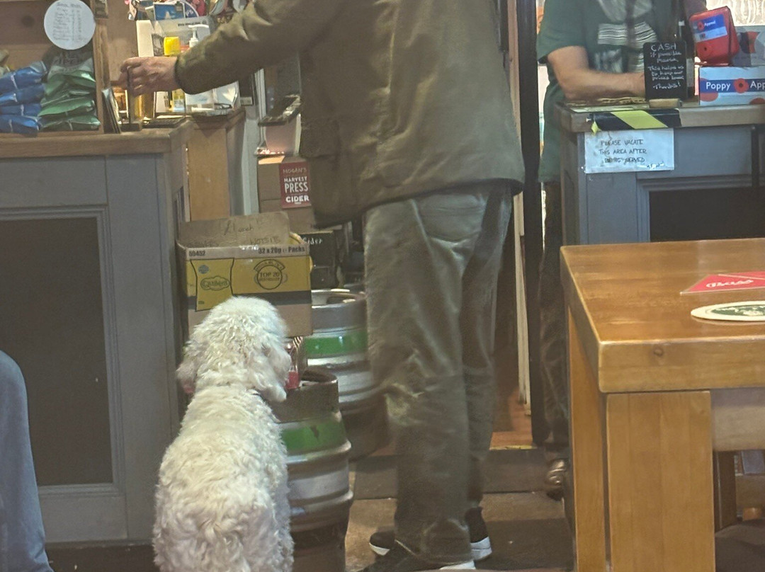 The Stratford Alehouse-埃文河畔斯特拉特福必去景点