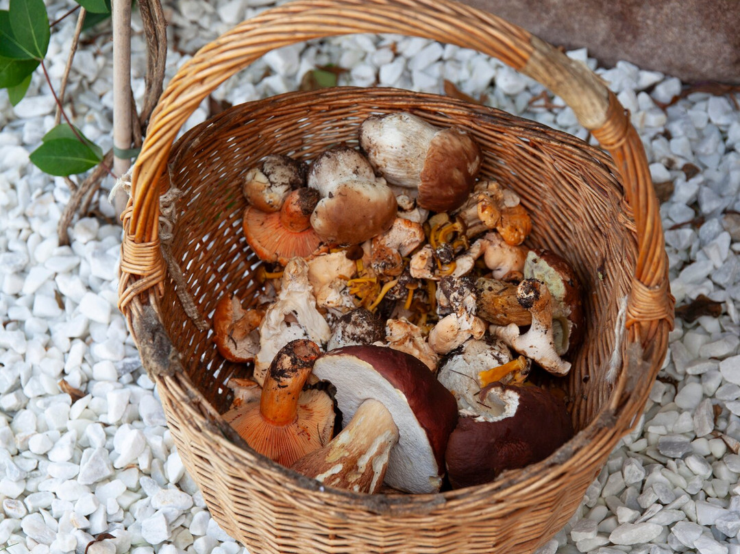 Chalet Chapeau B & B-Castel Condino必去景点