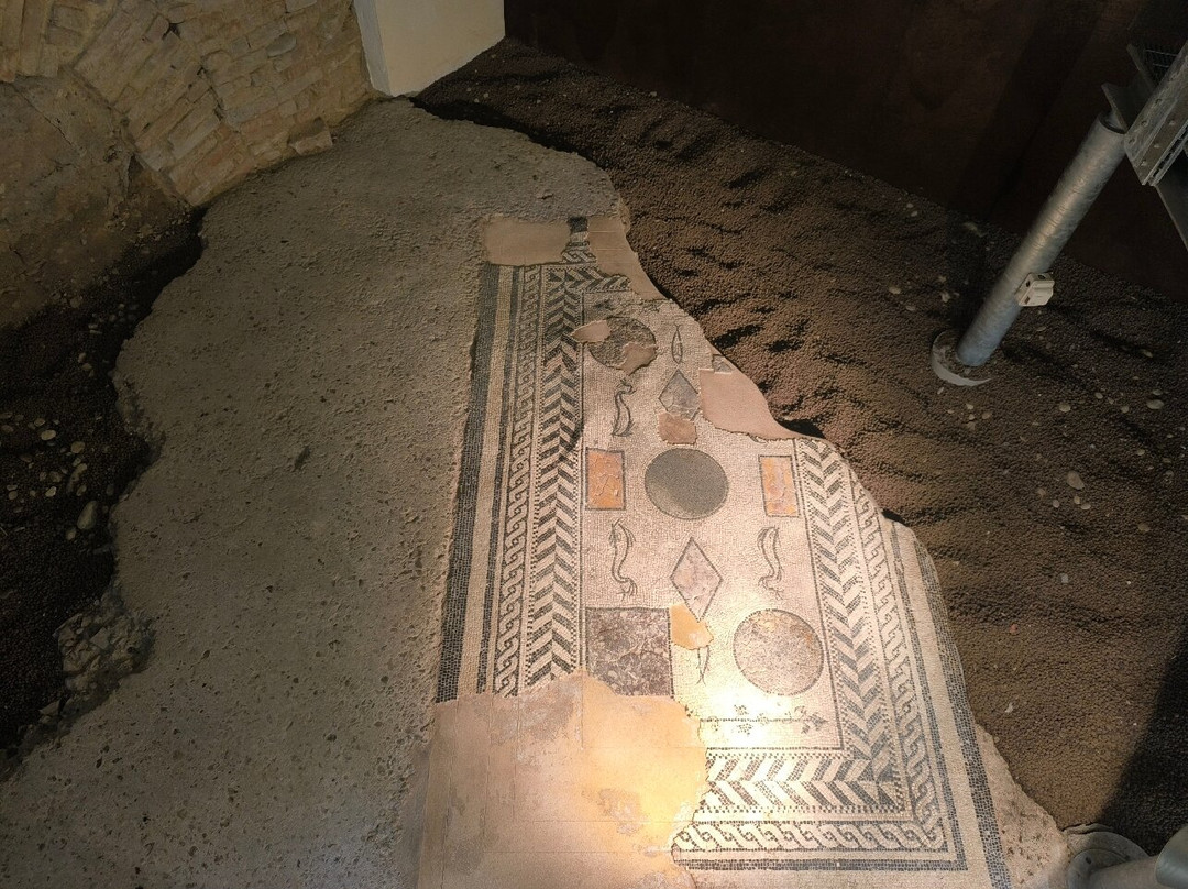 Domus Romana-阿斯蒂必去景点