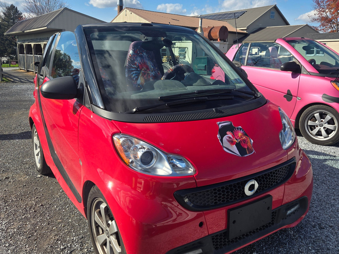 Strasburg Scooter Tours-Strasburg必去景点