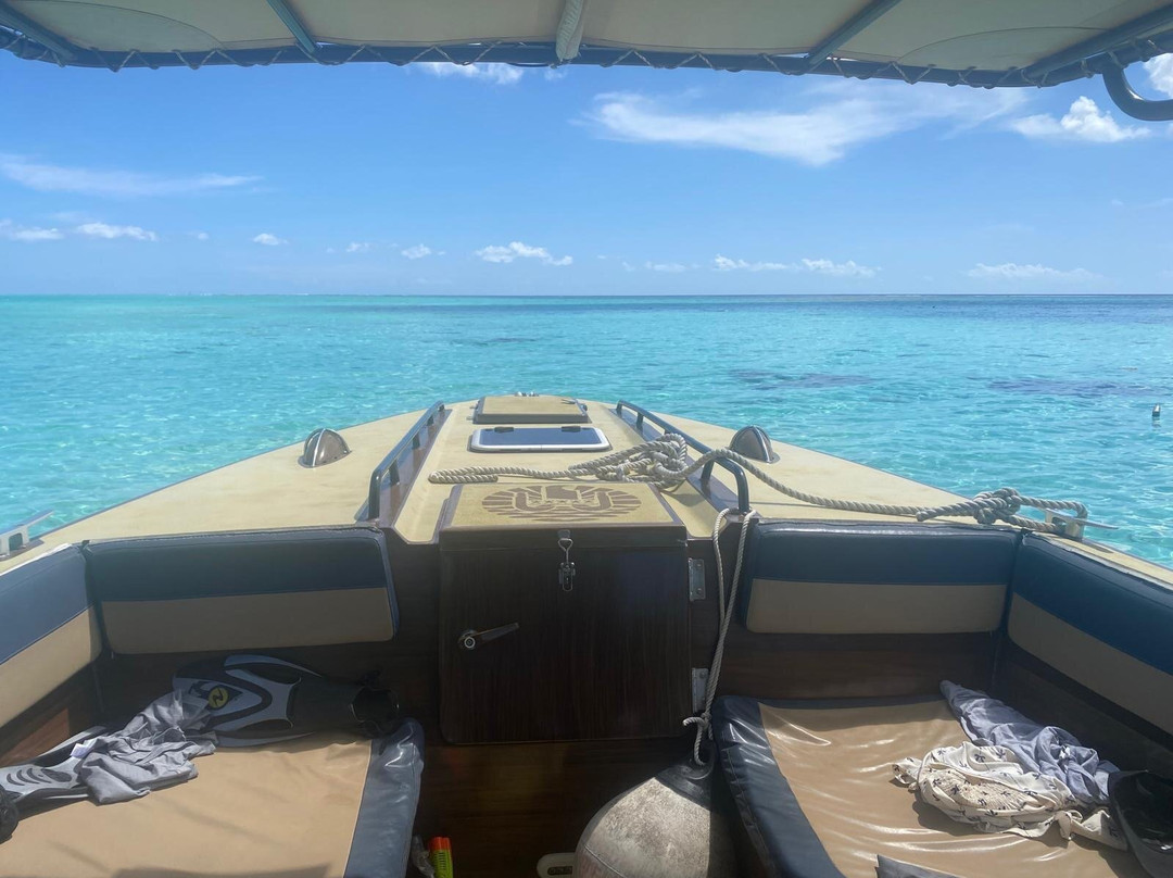 Arii Moana Tours-亚堤亚岛必去景点