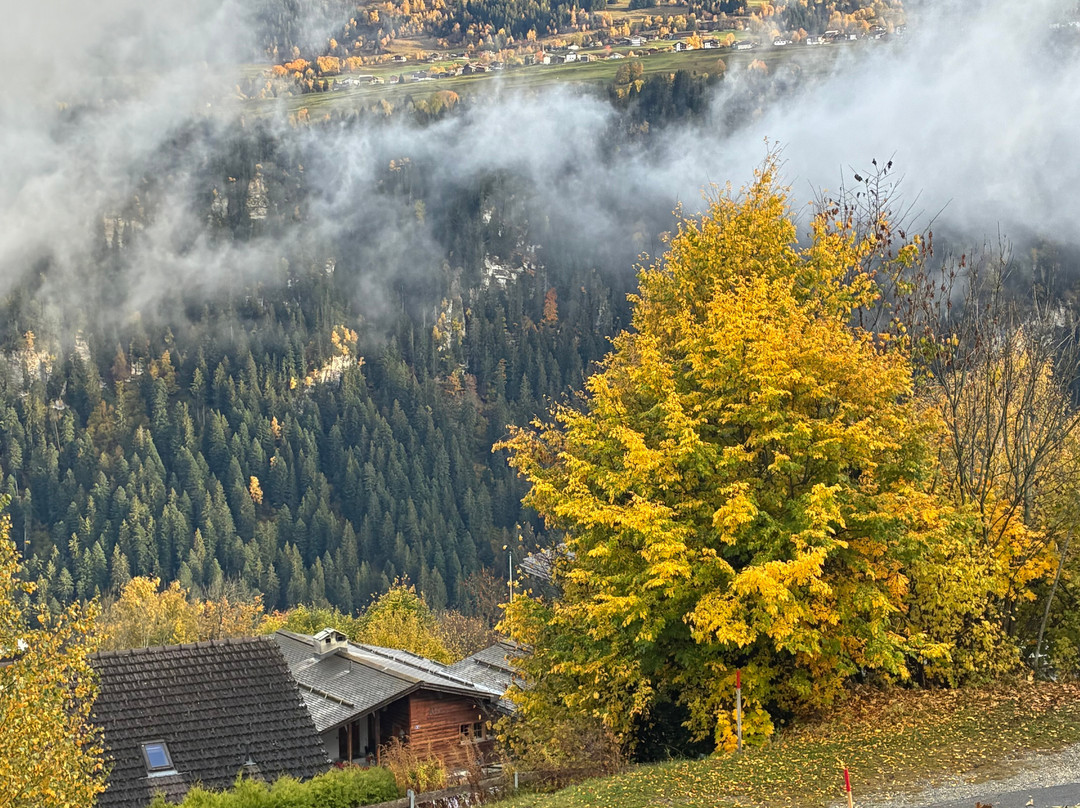 Family hotel Clarezia主图