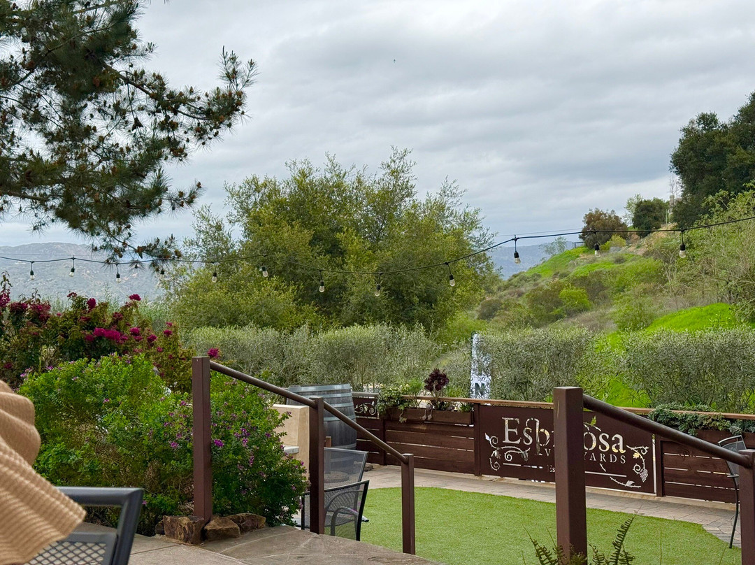 Espinosa Vineyards-埃斯孔迪多必去景点
