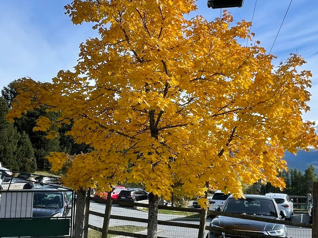 Golf de Font-Romeu-封罗摩必去景点