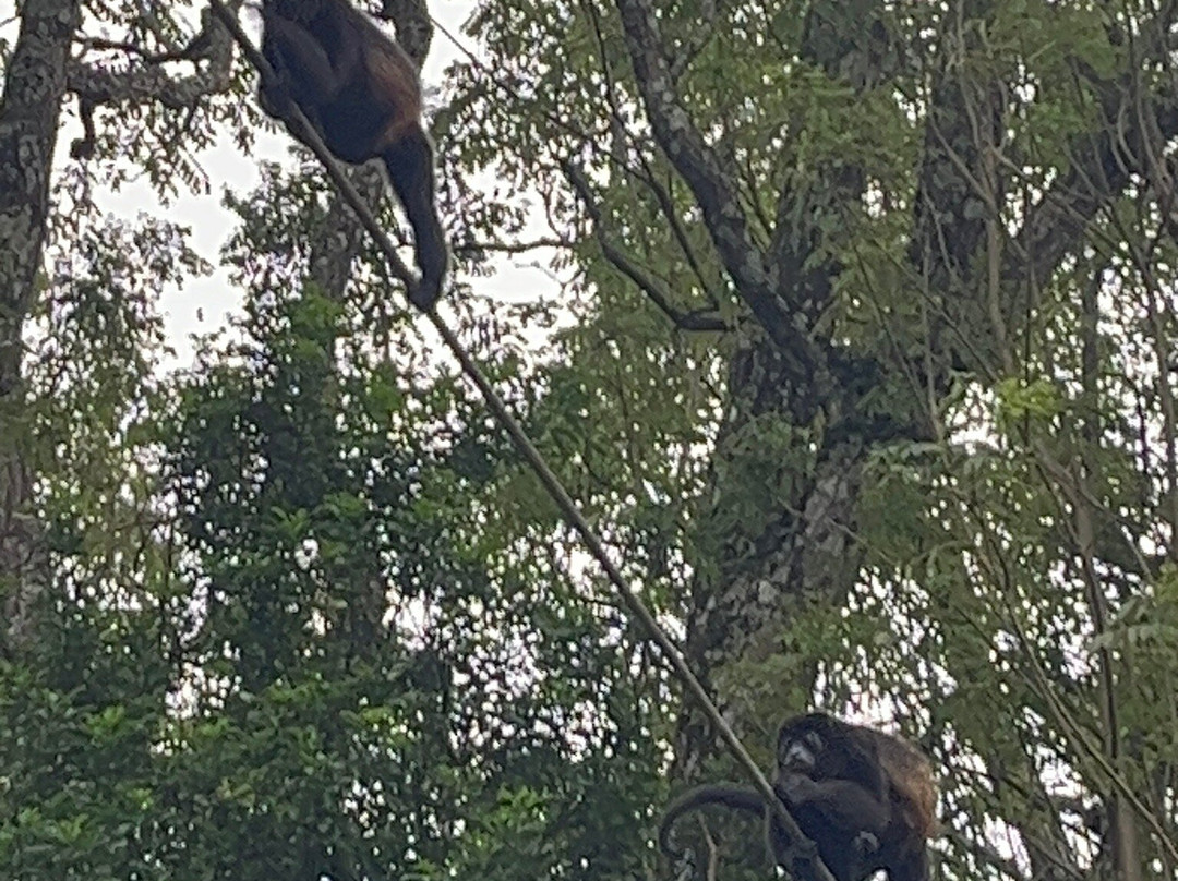 Costa Ride CR-Baru必去景点