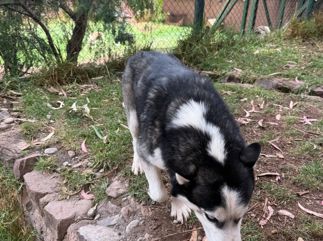 Etnikas Ayahuasca Retreats-库斯科必去景点