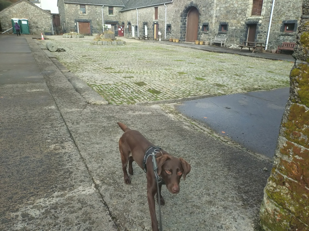 Dartmoor Prison Museum-Princetown必去景点