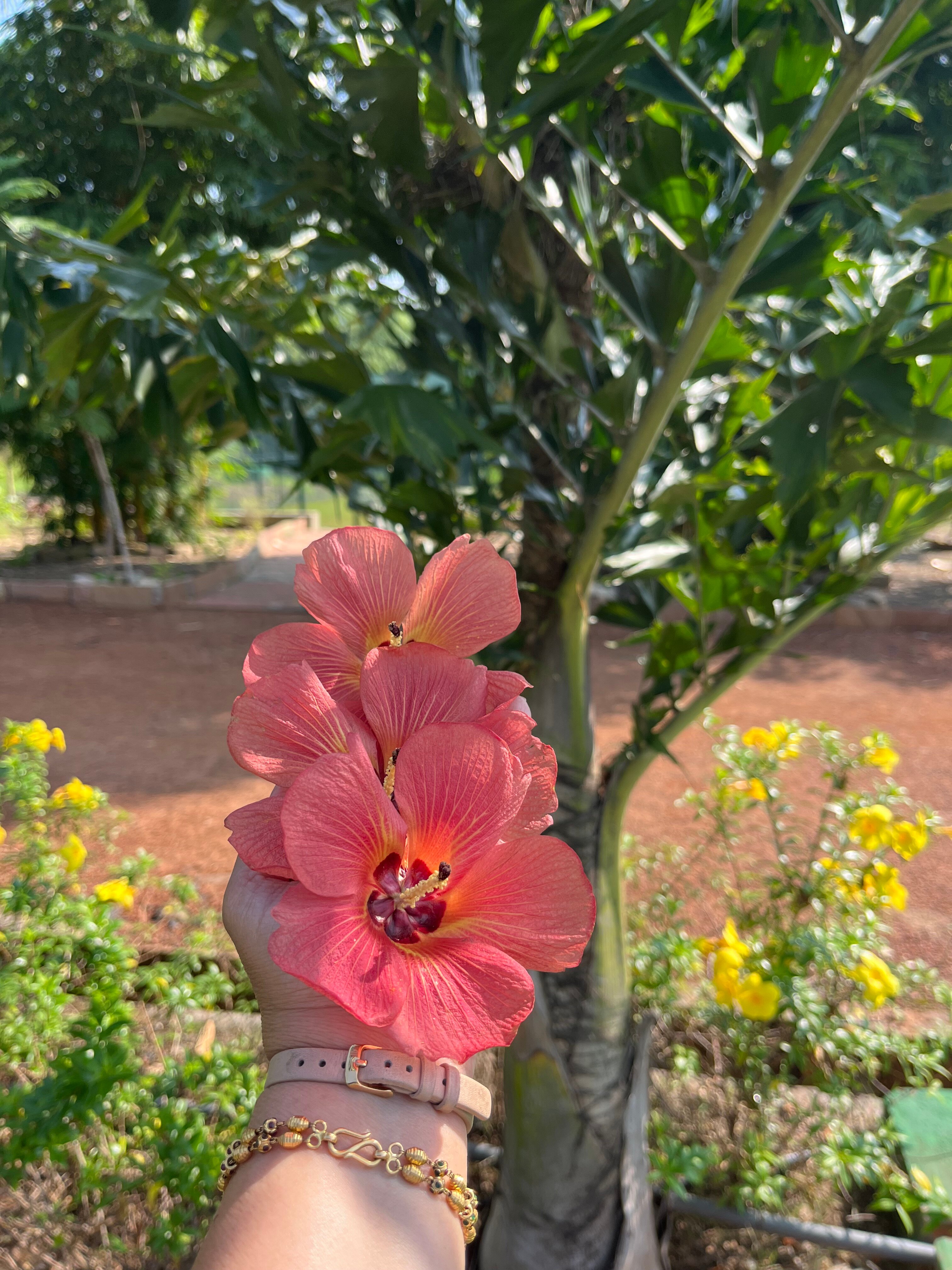 Tathastu Tadoba-浴室