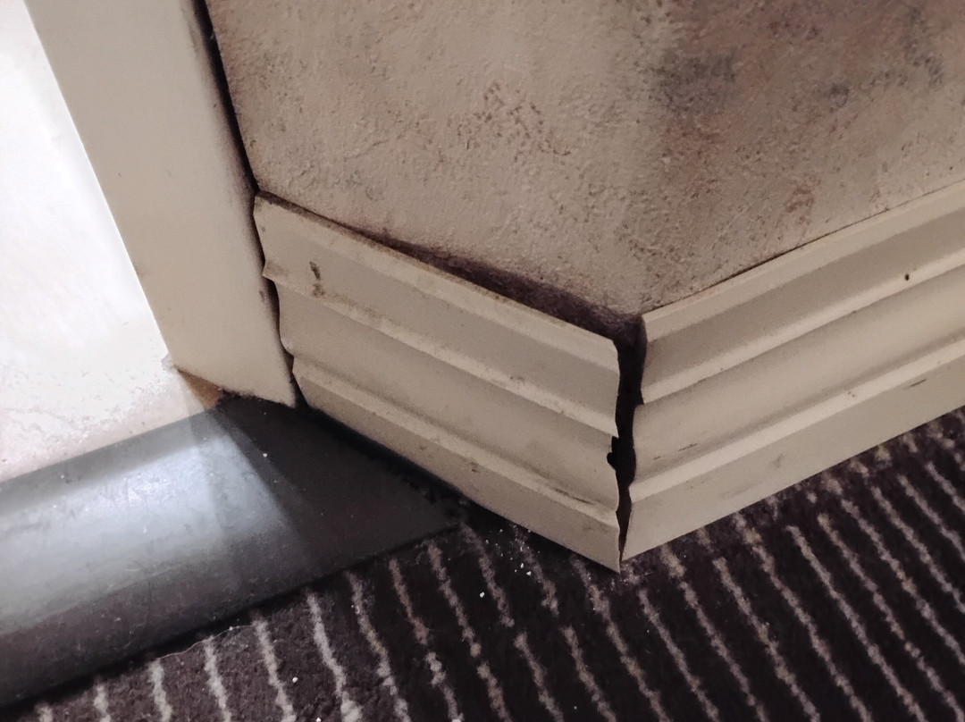 西斯普林菲尔德希尔顿恒庭酒店主图