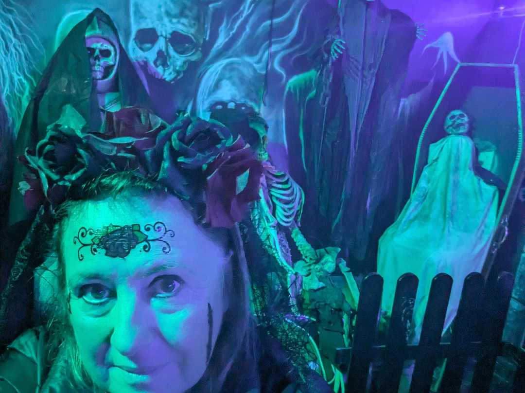 Adventure Coast Southport-绍斯波特必去景点