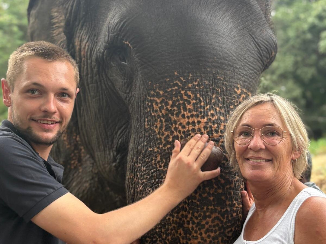 Elephant Freedom Project-凯格勒 必去景点