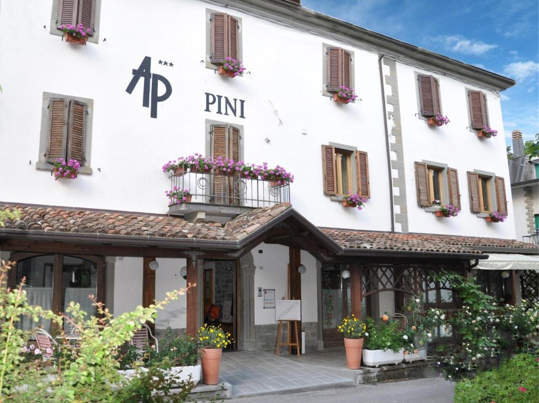 Pini Corniolo