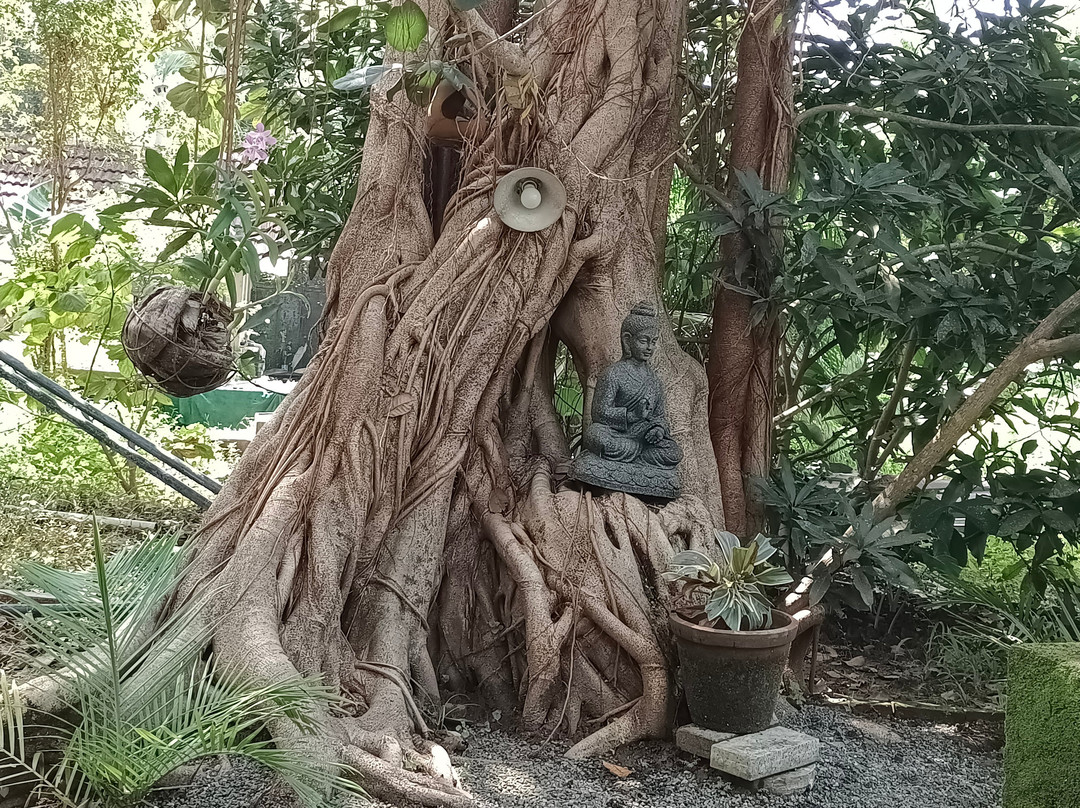 Matt India Ayurveda Centre-阿拉普扎必去景点
