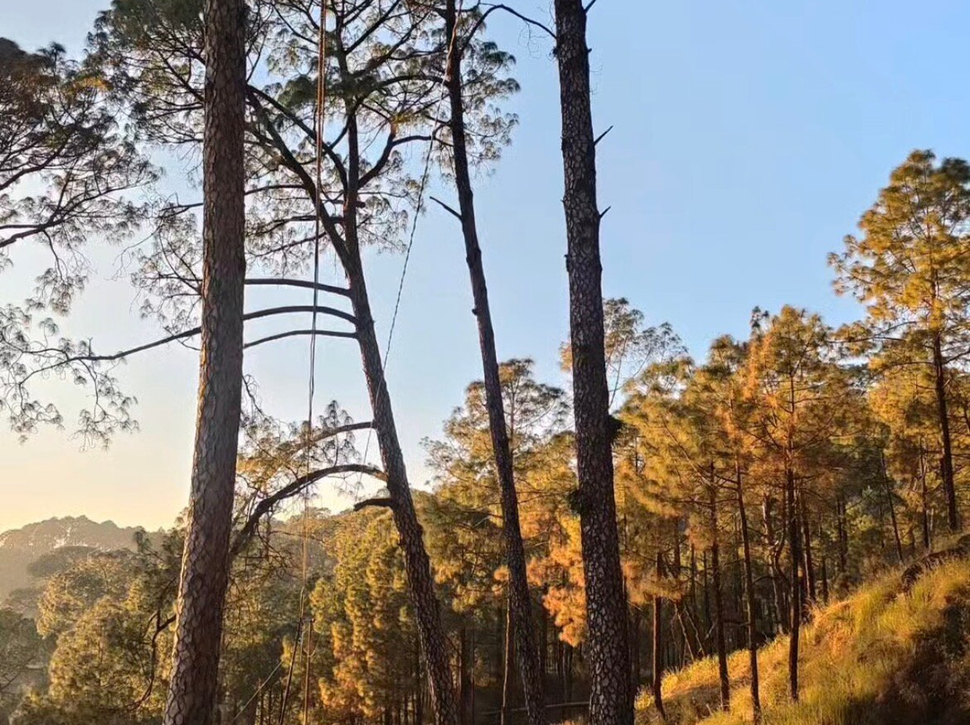 Lansdowne Called Celebration-Lansdowne必去景点