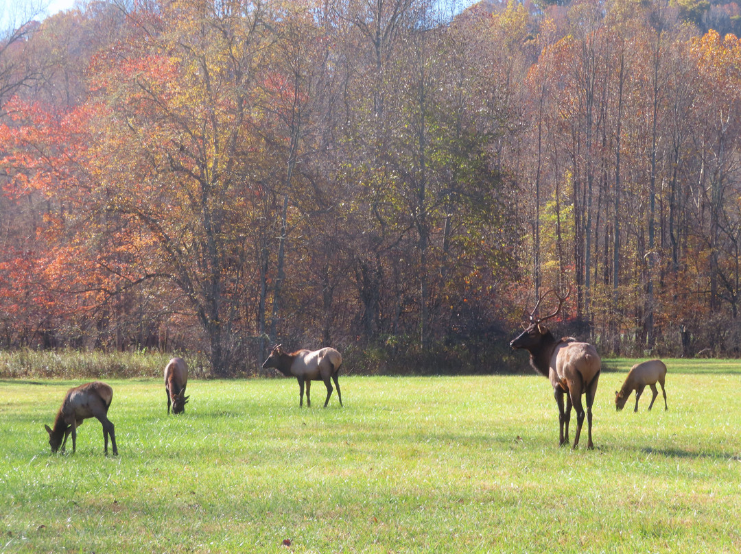 Oconaluftee Visitor Center-大雾山国家公园必去景点