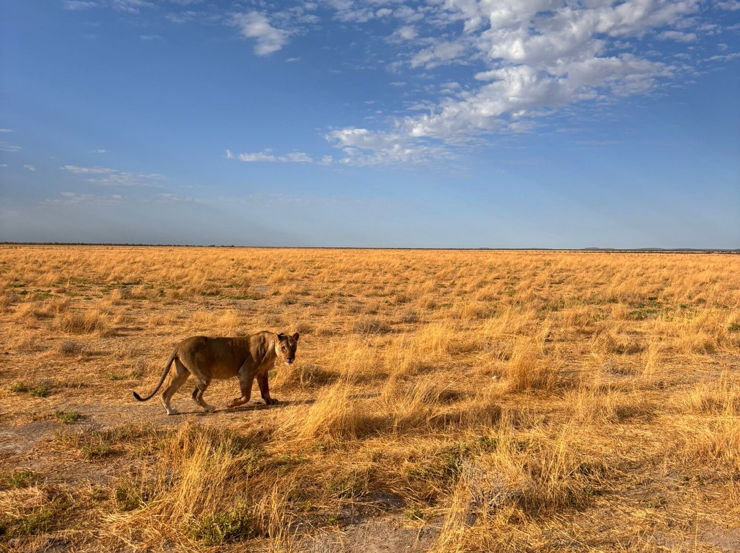 EverseenAfrica-霍德斯普鲁特必去景点