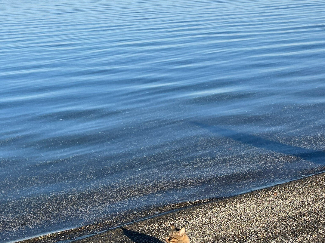 Lago di Bracciano-Province of Rome必去景点