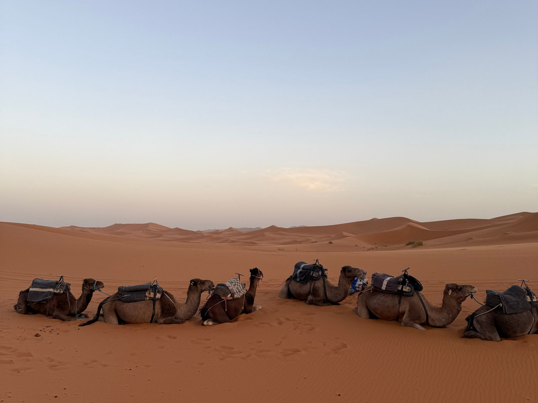 Sahara Relax-扎古拉必去景点